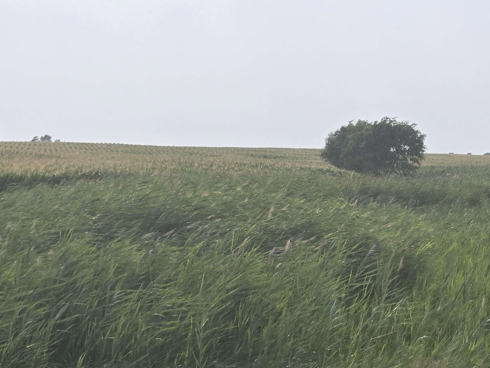 Land