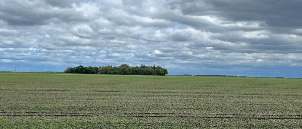 CommonGround | Farmland for Rent & Lease | Agriculture & Hunting Land ...